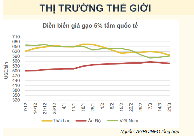 giá gạo trên thị trường thế giới_1711428848.PNG